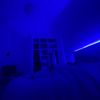Louie - @louie.hogan2 - TikTok