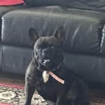 Lou Hunt - @queensgenes - Instagram