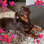 Lou Hunt - @hunt.lou - Instagram