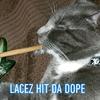 LOU KANE - @mr.ratchet74 - TikTok