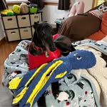 Lou Keller - @loukeller42 - Instagram