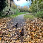 @loukellermurray - Instagram