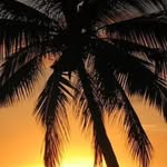 Lou Anne Sands Kramer - @beachannie53 - Instagram