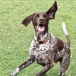 Lou Kramer - @hubble_gsp - Instagram