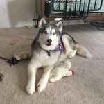 Lou Kramer - @loukramersr - Instagram