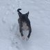 Lou Kramer - Facebook