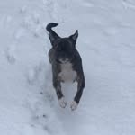 Lou Kramer - @louiekramer27 - Instagram