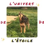 •maya l’abeille 🐝🐶• - @lou_.lopez - Instagram