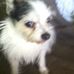 Lou Lyons - Facebook
