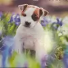 Lou Magee - @lou.magee0 - TikTok