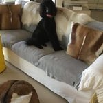 Lou Manning - @loumanning1 - Instagram