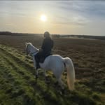 Lou Watson Marshall - @loumarshall - Instagram