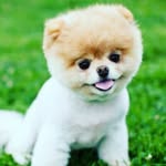 lou - @lou.__.may - Instagram