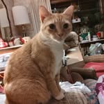 Betty Lou McDaniel - @bettyloumcdaniel - Instagram