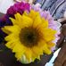 Louise Mcdaniel - Facebook
