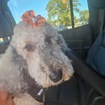 Mary Lou Lantz McDaniel - @dannygrammy - Instagram