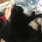 lou McDowell hutchins - @lou_mcdowell_hutchins - Instagram