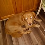 Lou Mears - Facebook