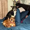 Louise  Mears - @louise.mears4 - TikTok