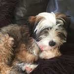 Lou.mears - @lou.mears - Instagram