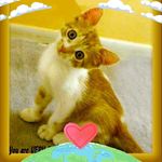 Mary Lou Meredith - @marylou.meredith - Instagram