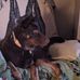 Lue Mentzer - Facebook