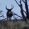 lou__moran - @lou__moran - TikTok