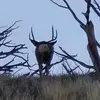 lou_moran - @lou_moran - TikTok
