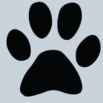 Louie_Moritz_Carlo - @vollzeitchaoten - Instagram