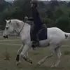 Lou Moss - @ponymad1985 - TikTok