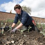 Lou Murphy - @loumurphygardener - Instagram