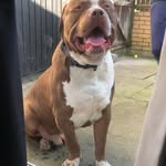 Lou - @loumurray832 - Instagram