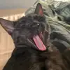 jude - @louneri - TikTok