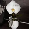 lounilesthl - @lounilesthl - TikTok