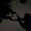 louisonoel - @lou.noel - TikTok