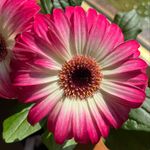 Lou North - @lou_north - Instagram