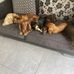 Louise Ogle - Facebook