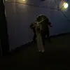 lou - @lou.oneillx - TikTok