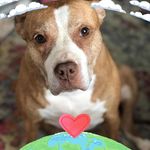 Mary Lou O'Neill - @marylou.oneill.1 - Instagram
