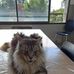 Louise Ottaviani - Facebook