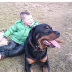 Lewis Parsons - @louparsons58 - Instagram