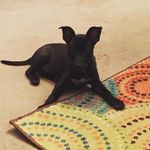 Remi Lou Patton - @remiloupatton - Instagram