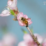 Lou Richards Photographic Art - @lourichardsphotographicart - Instagram