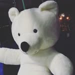 Balou, Milu & Lou Richter - @officialtedbalou_milu_lou - Instagram