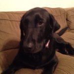 Betty Lou Richter - @betty4life - Instagram