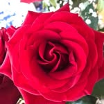 Lou Richter - @lou.richter.79 - Instagram