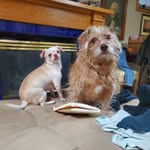 Louis Riddle - @louriddle143 - Instagram