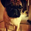 louriddle143 - @louriddle143 - TikTok