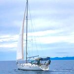 Louro - @lourocatamaran - Instagram