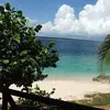 Lou_Rush_Insurance - @Lou_Rush_Insuranc - TikTok